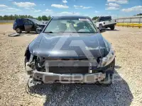 2010 Honda Accord фото