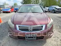 2010 Honda Accord фото