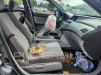 2010 Honda Accord фото