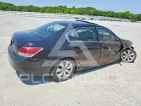 2010 Honda Accord фото