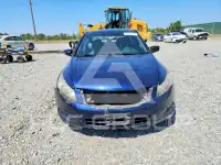 2010 Honda Accord фото