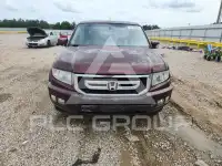 2010 Honda RIDGELINE photo