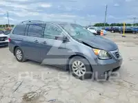 2010 Honda ODYSSEY photo