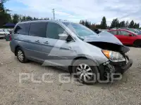 2010 Honda ODYSSEY photo