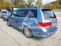 2010 Honda ODYSSEY фото