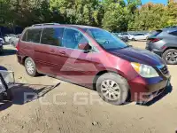 2010 Honda ODYSSEY photo