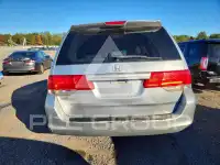 2010 Honda ODYSSEY photo