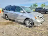2010 Honda ODYSSEY фото