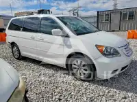 2010 Honda ODYSSEY photo
