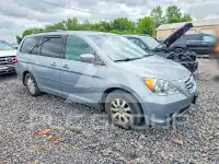 2010 Honda ODYSSEY фото