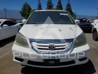 2010 Honda ODYSSEY photo