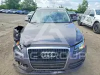 2010 Audi Q5 фото