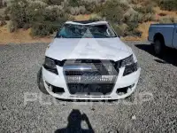 2010 Audi Q5 фото