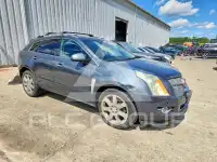 2010 Cadillac SRX фото
