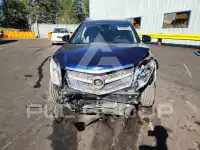 2010 Cadillac SRX фото