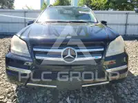 2010 Mercedes Benz GL-Class photo