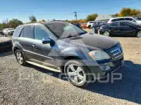 2010 Mercedes Benz ML-Class фото