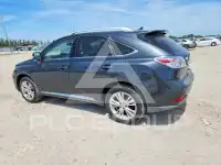 2010 Lexus RX450 фото