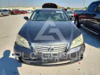 2010 Lexus ES350 фото