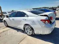 2010 Lexus ES350 фото