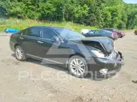 2010 Lexus ES350 фото