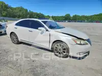 2010 Lexus ES350 фото