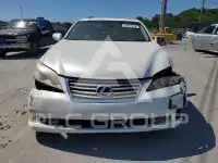 2010 Lexus ES350 фото