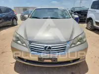 2010 Lexus ES350 photo