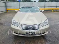 2010 Lexus ES350 фото