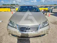 2010 Lexus ES350 фото