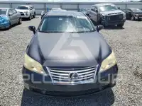 2010 Lexus ES350 фото