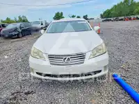 2010 Lexus ES350 photo
