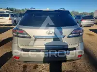 2010 Lexus RX350 photo