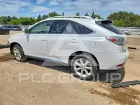 2010 Lexus RX350 photo