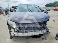 2010 Lexus RX350 photo