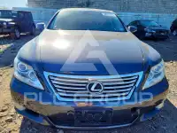2010 Lexus LS460 фото