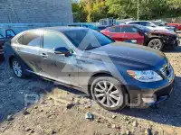 2010 Lexus LS460 фото