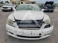 2010 Lexus LS460 фото