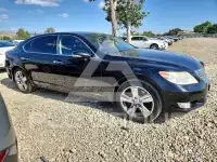 2010 Lexus LS460 фото