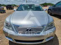 2010 Lexus LS460 фото