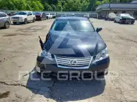 2010 Lexus ES photo