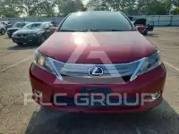 2010 Lexus HS фото