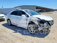 2010 Lexus HS фото