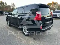 2010 Lexus GX фото