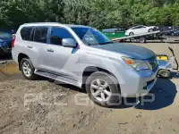 2010 Lexus GX photo