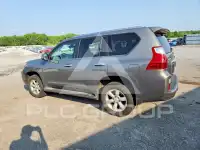 2010 Lexus GX фото