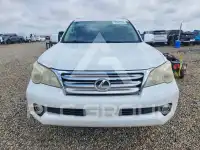 2010 Lexus GX photo