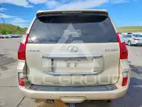 2010 Lexus GX photo