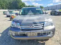 2010 Lexus GX фото
