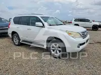 2010 Lexus GX фото
